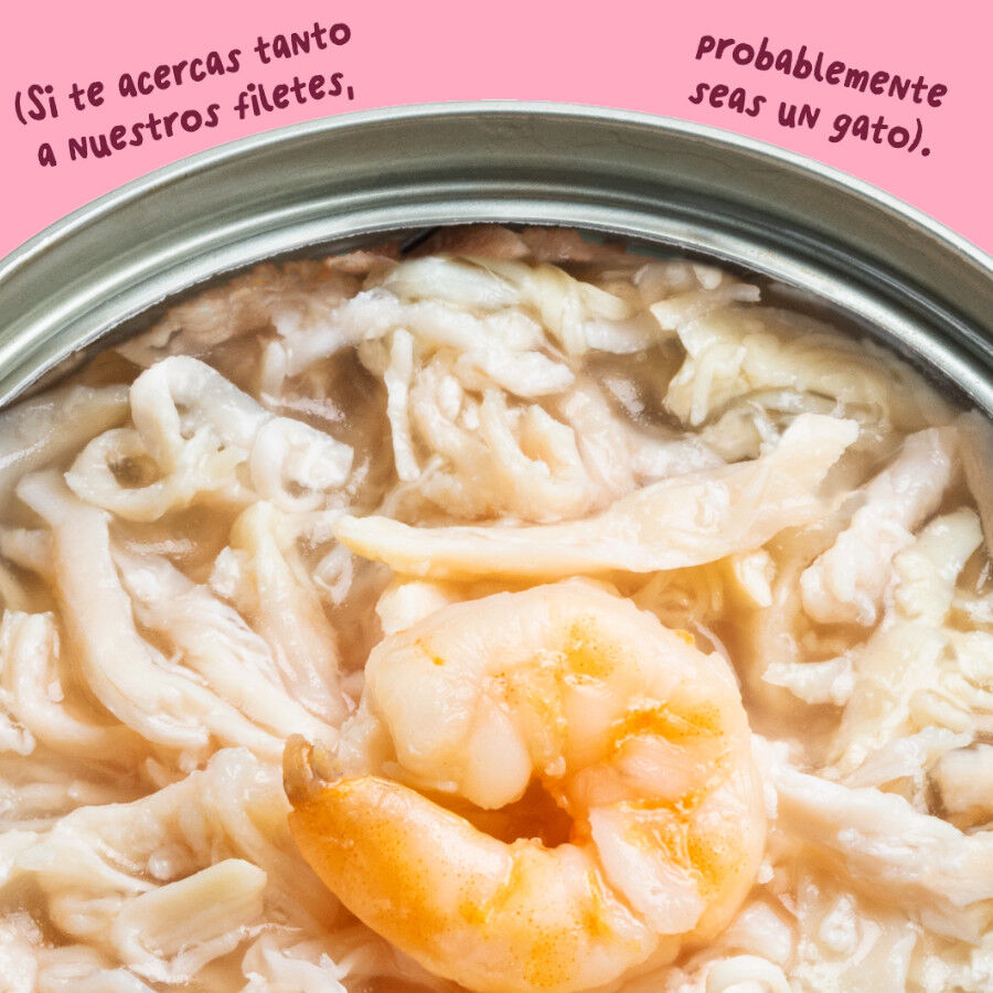 70 g Edgard & Cooper Filetes de Pollo y Gambas Lata para gatos, , large Imagen numero 5