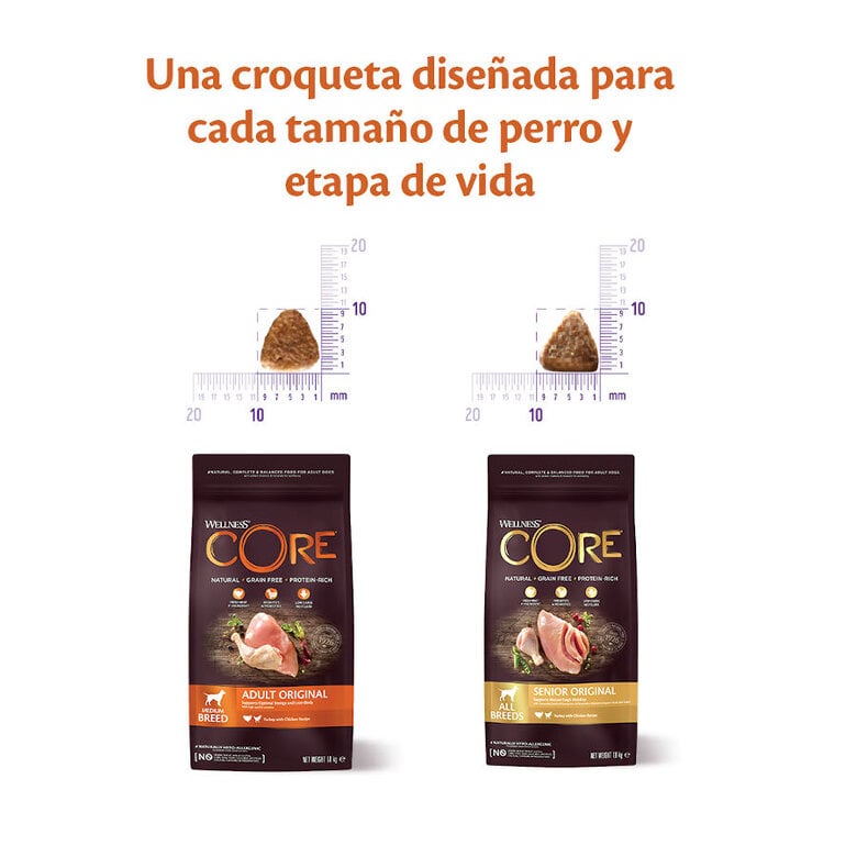 10 kg Wellness Core Senior Pollo y Pavo pienso para perros,  Imagen numero 3 10 kg Wellness Core Senior Pollo y Pavo pienso para perros, , large Imagen numero 3