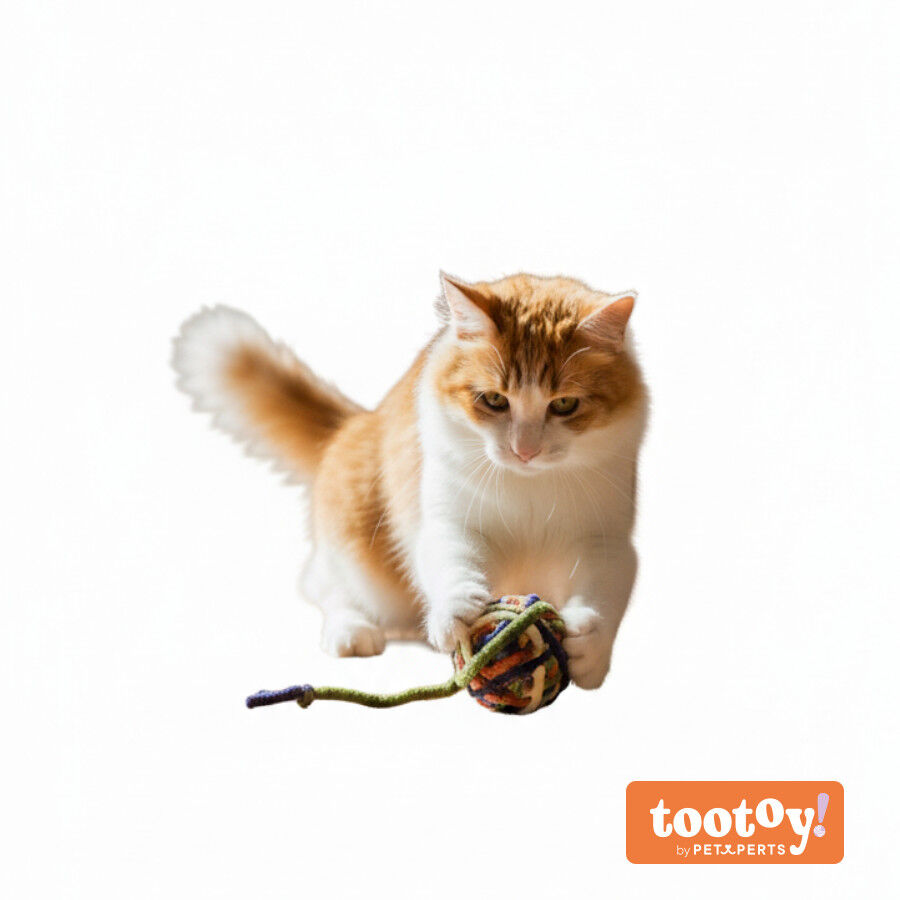 Tootoy! Ovillo de Lana para gatos, , large Imagen numero 3