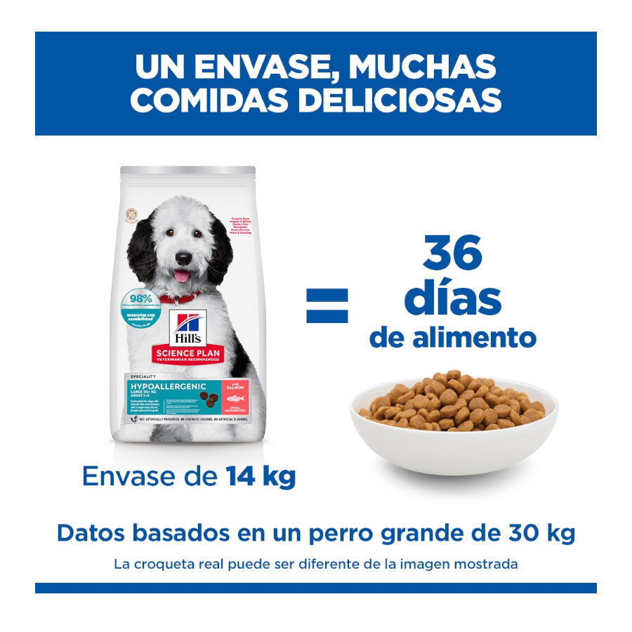 14 kg Hill's Science Plan Hipoalerg&eacute;nico Large Salm&oacute;n pienso para perros, , large Imagen numero 6