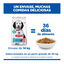 14 kg Hill's Science Plan Hipoalerg&eacute;nico Large Salm&oacute;n pienso para perros, , large indicador imagen numero 6