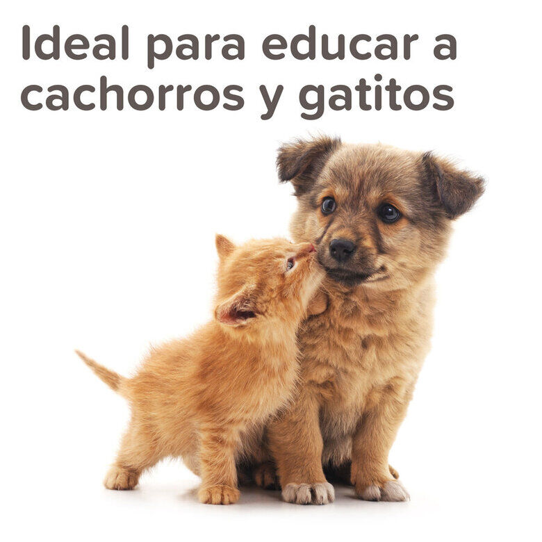 Beaphar Spray Educador para Exterior para perros y gatos thumbnail