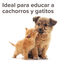 Beaphar Spray Educador para Exterior para perros y gatos, , large indicador imagen numero 5