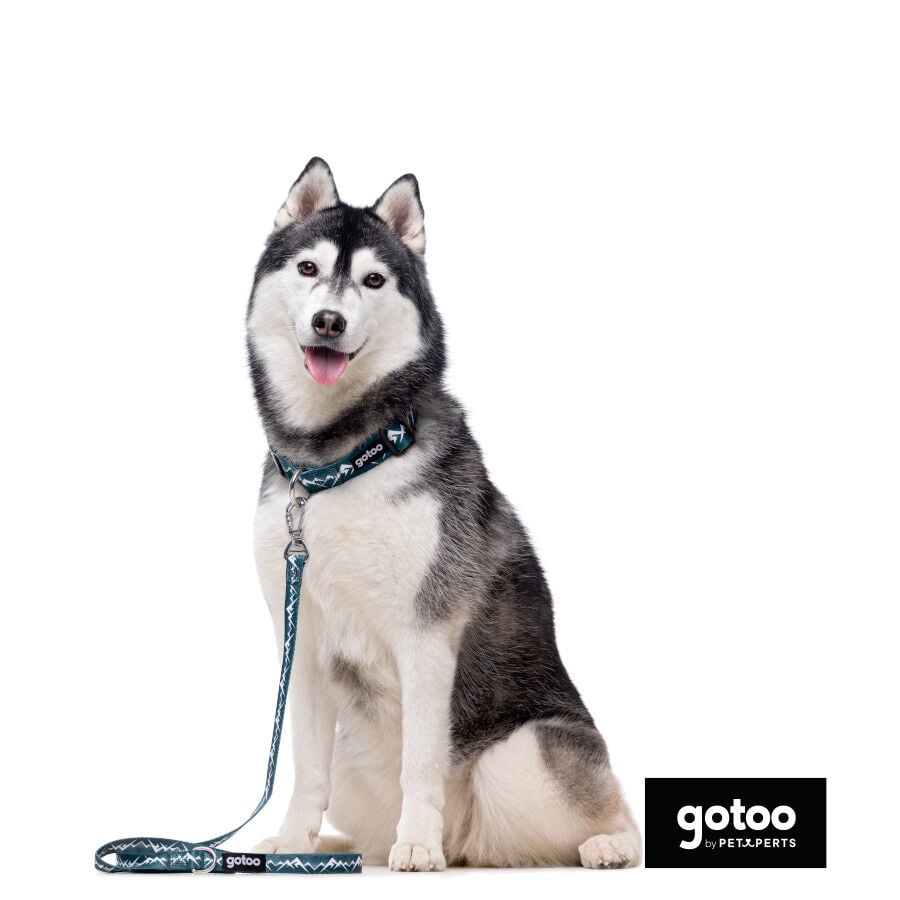 Gotoo Correa con mosquetón de seguridad verde para perros thumbnail