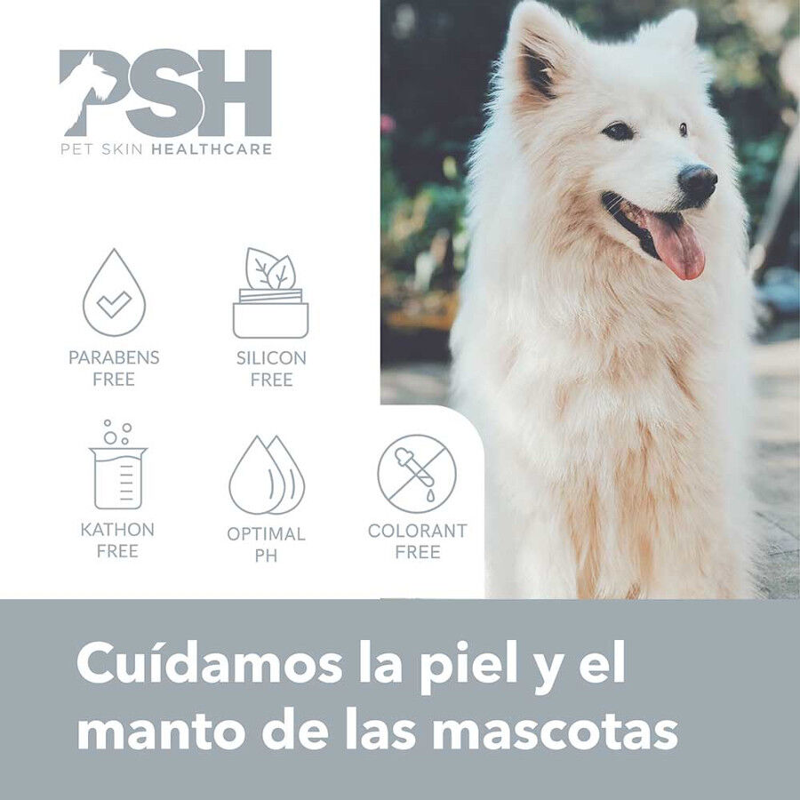 PSH CBD Fusion Champ&uacute; para perros y gatos, , large Imagen numero 2
