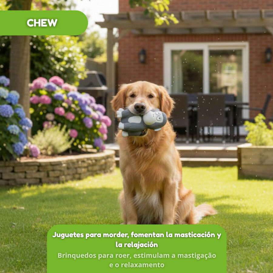 Tootoy! Gorila Mordedor con Sonido para perros thumbnail