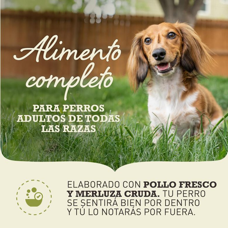 17 kg Acana Adult pienso para perros,  Imagen numero 2 17 kg Acana Adult pienso para perros, , large Imagen numero 2