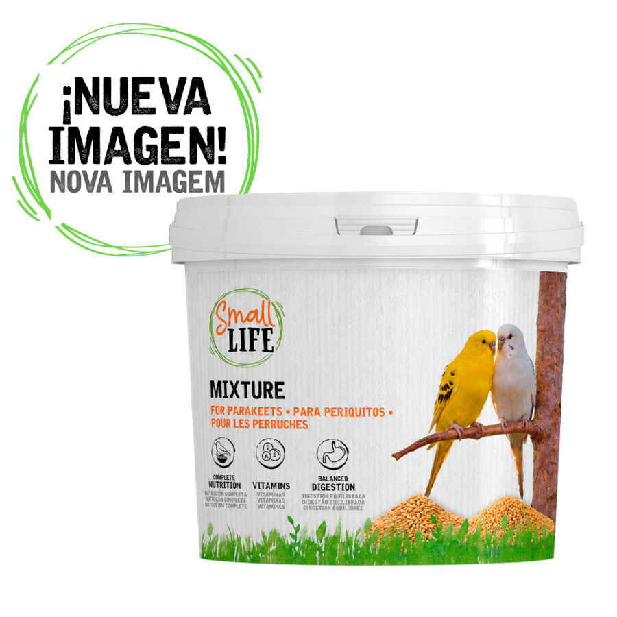3.7 kg Small Life Mixtura Cubos para periquitos, , large Imagen numero 1