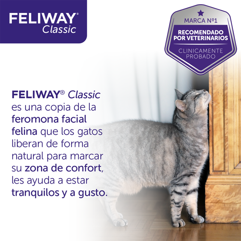 MIAU - 100% GATOS - FELIWAY SPRAY PARA GATOS Feromonas para gatos en spray  Recuerden que sugerimos recomendación VETERINARIA para uso de feliway,  casos sencillos de estrés se pueden manejar con venta