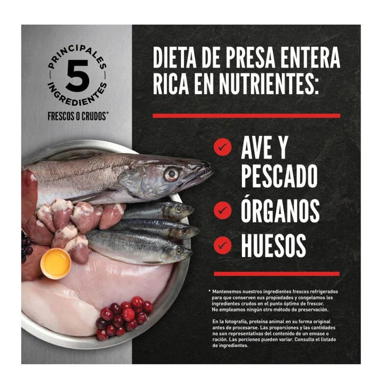 11.4 kg Orijen Adult Regional Red pienso para perros,  Imagen numero 3 11.4 kg Orijen Adult Regional Red pienso para perros, , large Imagen numero 3