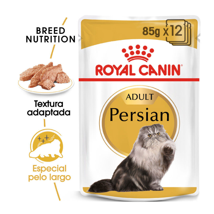 Royal Canin Feline Persian Adult sobres para gatos thumbnail