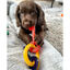 Nylabone Llaves Mordedor Sabor a Bacon para cachorros, , large indicador imagen numero 4