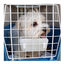 Ferplast Atlas Open Transportín para perros y gatos, , large indicador imagen numero 4