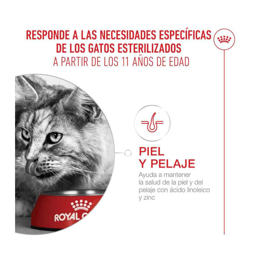 Royal Canin Ageing 11+ Sterilised pienso para gatos thumbnail