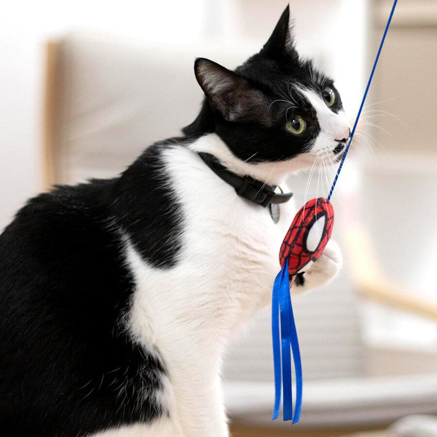 Disney Marvel Spiderman ca&ntilde;a para gatos, , large Imagen numero 5