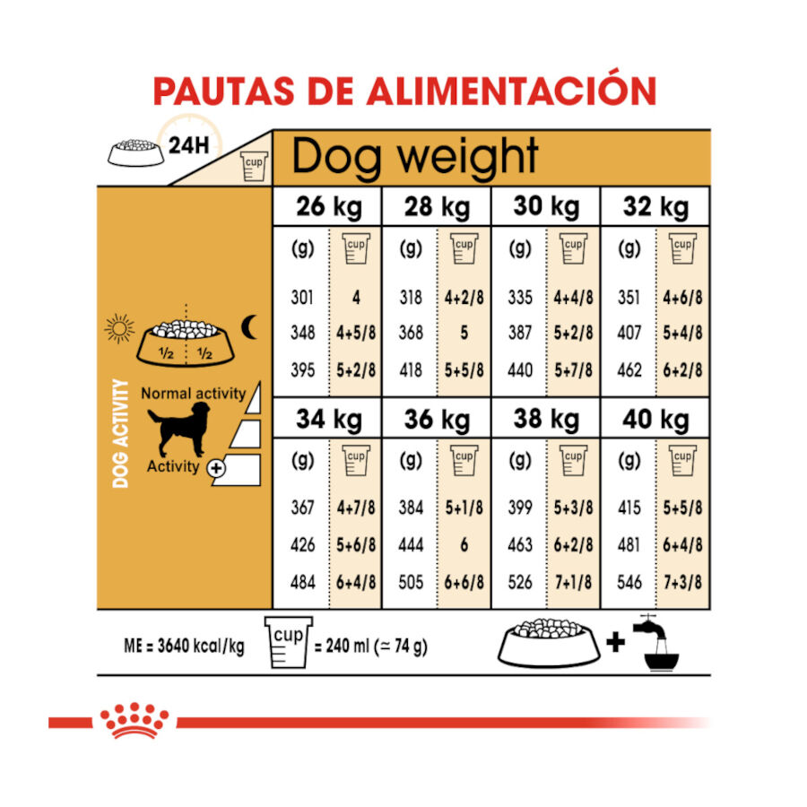 Royal Canin Adult Labrador Retriever pienso para perros thumbnail