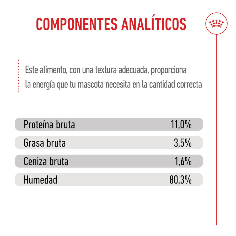 Royal Canin Kitten Sterilised salsa sobre para gatos thumbnail