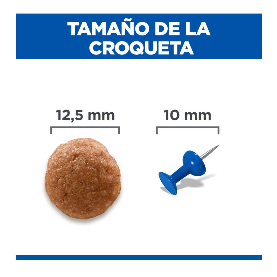 14 kg Hill's Science Plan Perfect Digestion Adult Medium Pollo pienso para perros, , large Imagen numero 4