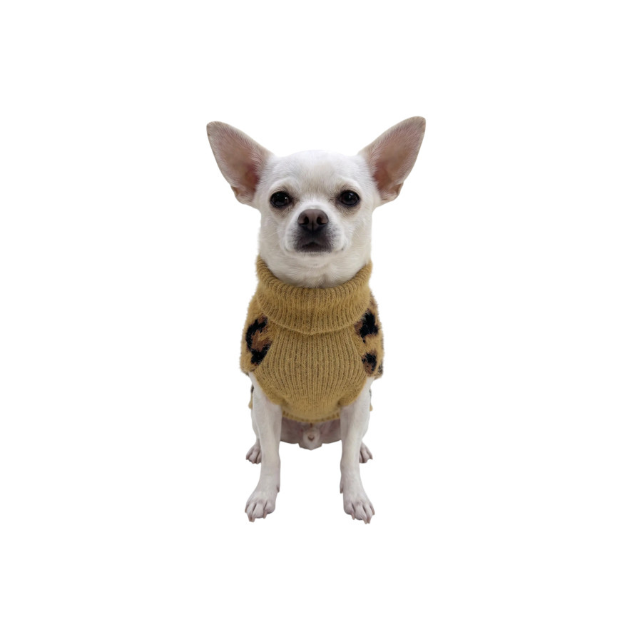 Gotoo Jersey Punto Estampado Leopardo para perros, , large Imagen numero 7