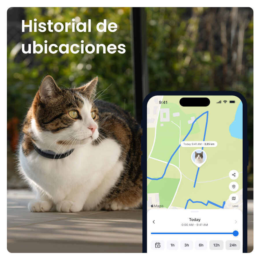 Tractive Cat 6 Mini Negro GPS para gatos, , large Imagen numero 3