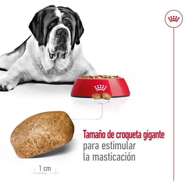 15 kg Royal Canin Giant Adult pienso para perros,  Imagen numero 7 15 kg Royal Canin Giant Adult pienso para perros, , large Imagen numero 7