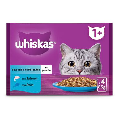 Whiskas Salmón y Atún Gelatina en Bolsita para Gatos Adultos