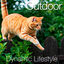 10 kg Catxtreme Adult Outdoors Pollo pienso para gatos, , large indicador imagen numero 4