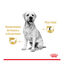 140 g Royal Canin Labrador Sobres para perros, , large indicador imagen numero 4