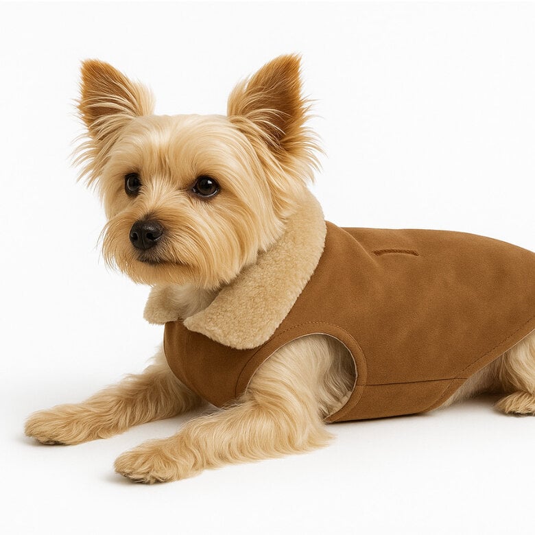 Outech Abrigo Impermeable para perros,  Imagen numero 3 Outech Abrigo Impermeable para perros, , large Imagen numero 3