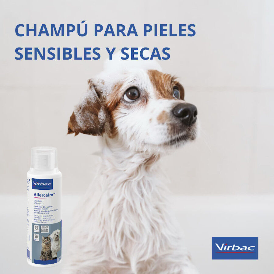 Virbac Allercalm Champ&uacute; para pieles sensibles y secas en perros y gatos, , large Imagen numero 3