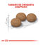 2 kg Royal Canin Ageing 12+ Sterilised pienso para gatos, , large indicador imagen numero 4