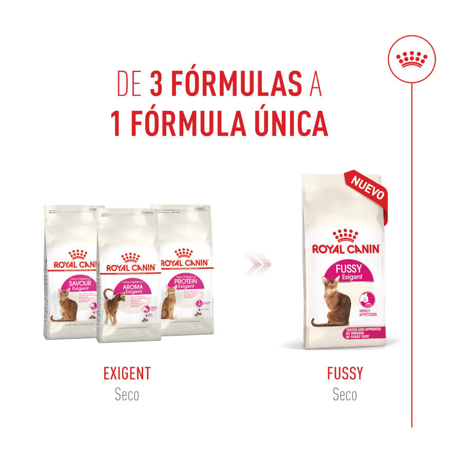 Royal Canin Fussy Exigent Pienso para gatos thumbnail