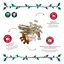 1 pack x 39 uds. Wonder Christmas Caja Regalo Cuero Prensado Snacks para perros, , large indicador imagen numero 3