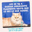 85 g Edgard & Cooper At&uacute;n y Pollo sobre en salsa para gatos, , large indicador imagen numero 10