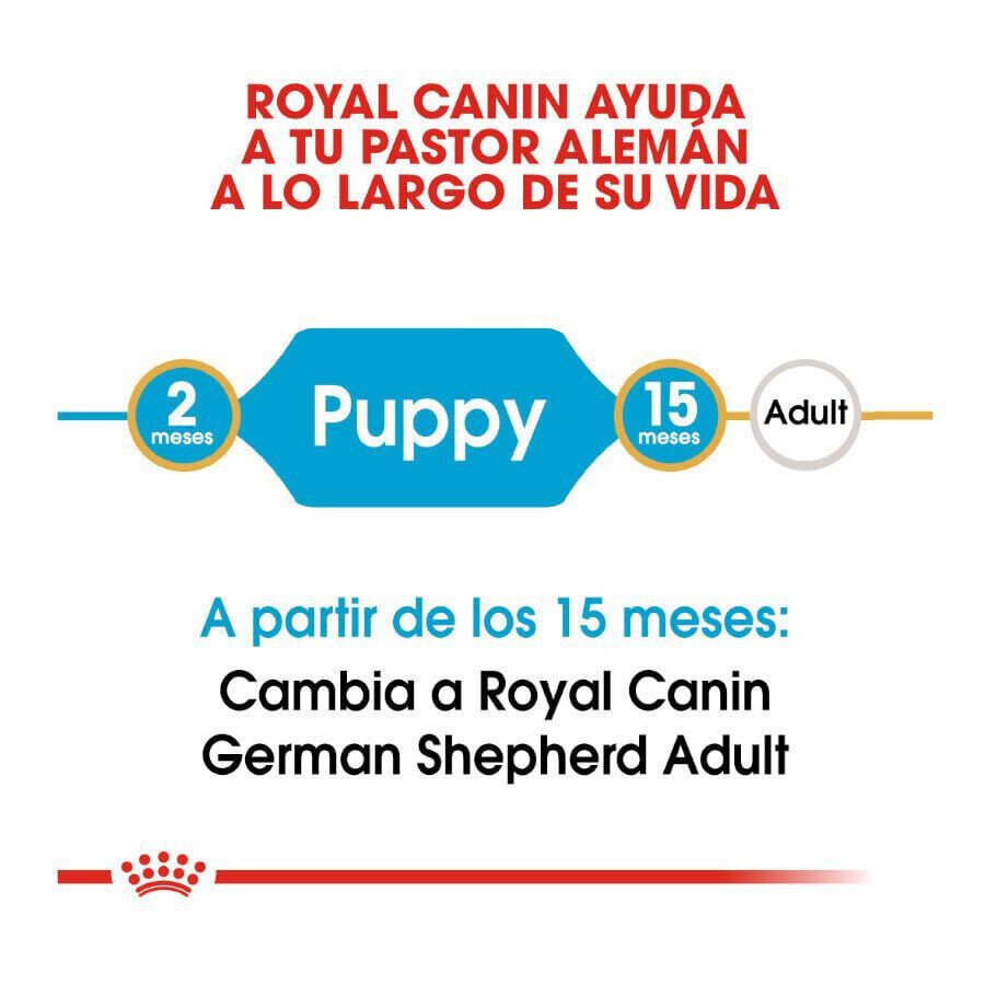 Royal Canin Puppy Pastor Alemán pienso para perros thumbnail