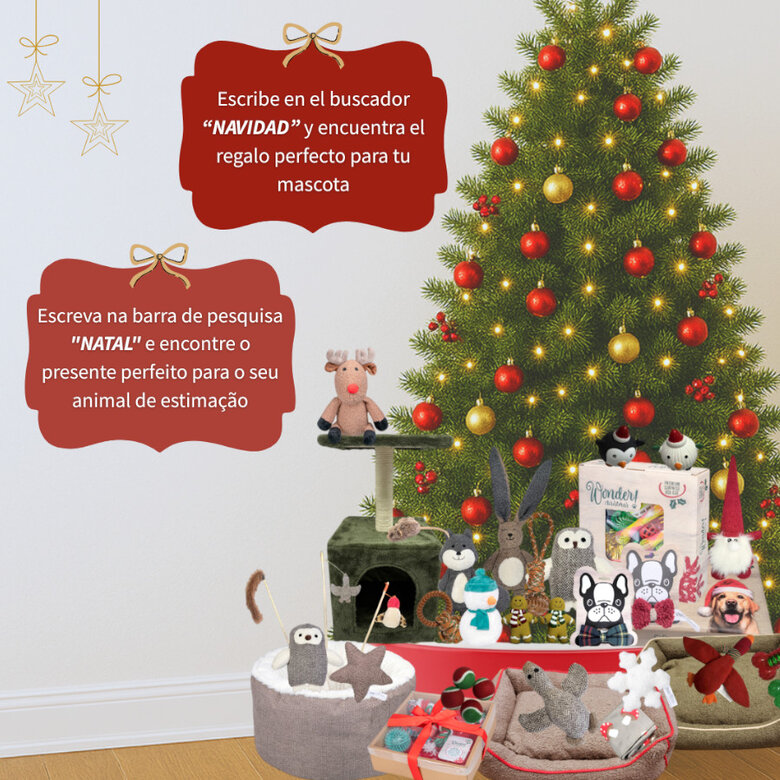 1 ud. Wonder Christmas Galleta Reno Navideña para perros,  Imagen numero 5 1 ud. Wonder Christmas Galleta Reno Navideña para perros, , large Imagen numero 5
