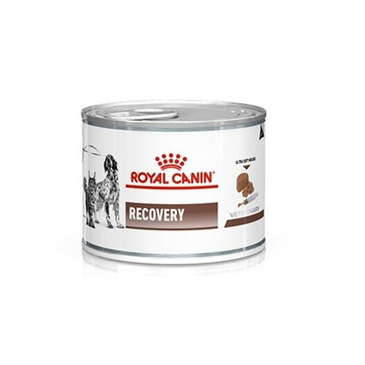 Canin Veterinary Recovery lata gatos | Kiwoko