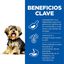 Hill's Science Plan Sensitive Stomach & Skin Small & Mini Pollo pienso para perros, , large indicador imagen numero 3