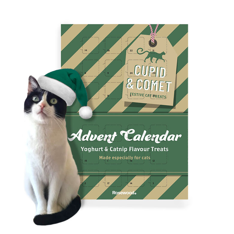 Rosewood Calendario de Adviento para gato, , large image number null