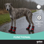 Gotoo Zapatos Rojo y Negro para galgos, , large indicador imagen numero 6