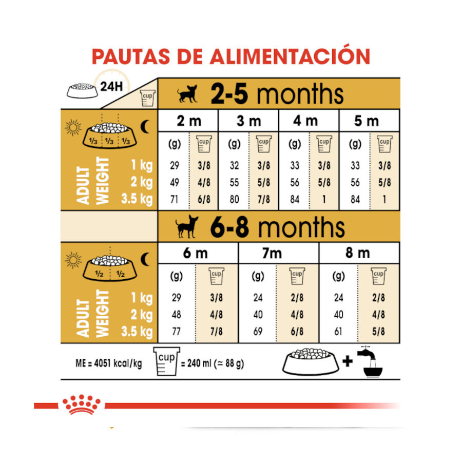 500 g Royal Canin Puppy Chihuahua pienso para cachorros, , large Imagen numero 9