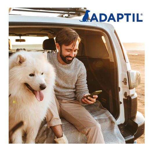 Adaptil Transport Spray Tranquilizante Viajes para perros, , large image number null