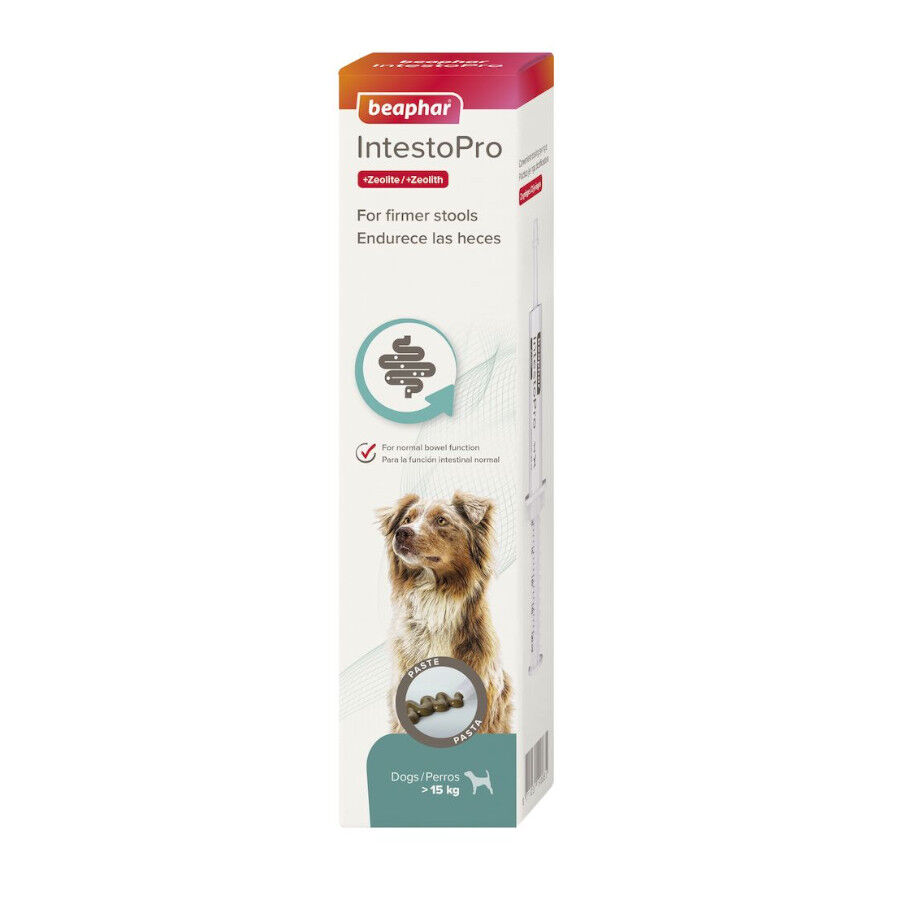 Beaphar IntestoPro pasta para perros