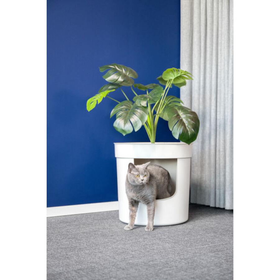 Nova Clean Planter Arenero para gatos, , large Imagen numero 5
