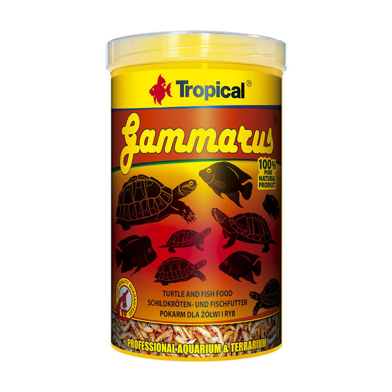 Tropical Gammarus alimento para reptiles thumbnail