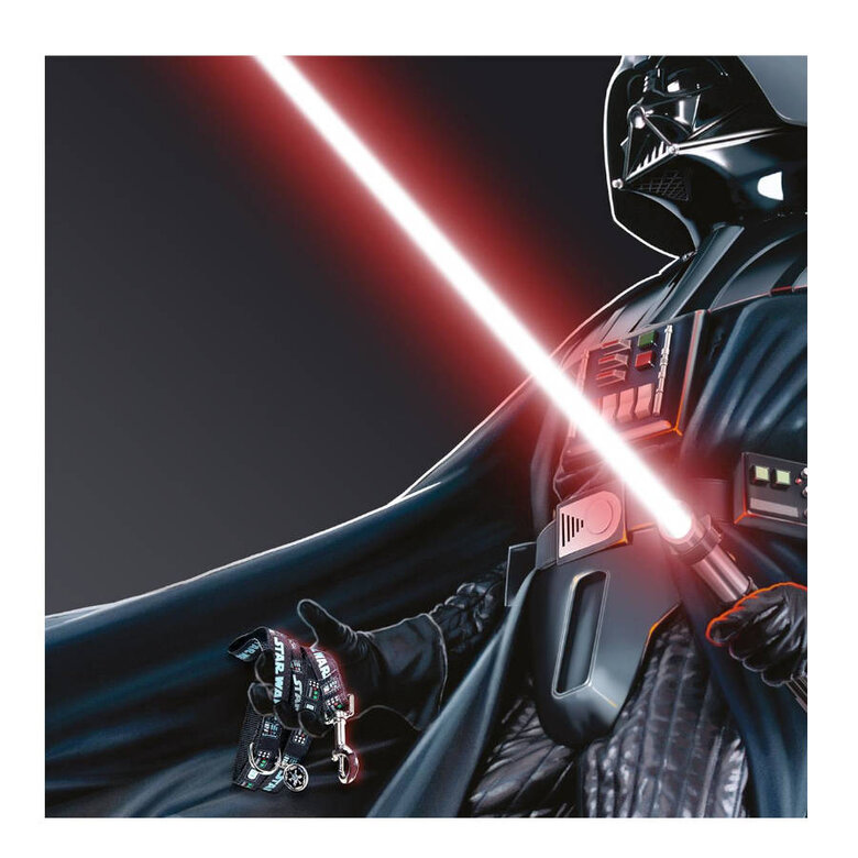 Disney Star Wars Correa Estampado para perros,  Imagen numero 4 Disney Star Wars Correa Estampado para perros, , large Imagen numero 4