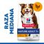 14 kg Hill's Science Plan Mature Adult Medium Pollo pienso para perros, , large indicador imagen numero 2