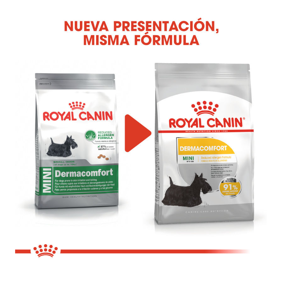 3 kg Royal Canin Dermacomfort Mini pienso para perros