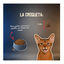 2 Kg Lenda Grain Free Cerdo pienso para gatos, , large indicador imagen numero 6