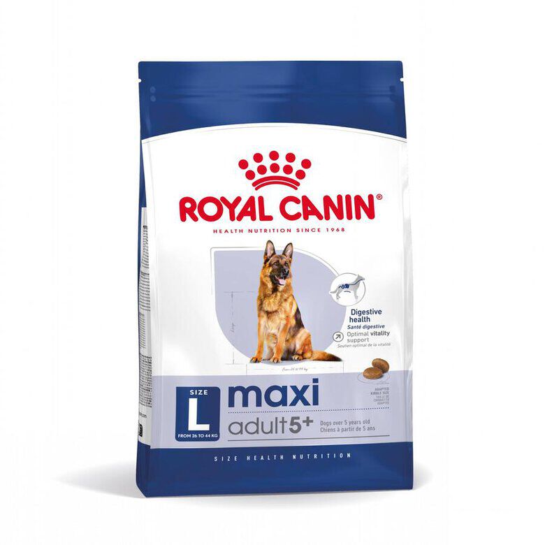Royal Canin Maxi Adult 5+ pienso para perros senior de raza grande thumbnail